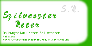 szilveszter meter business card